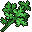 parsley
